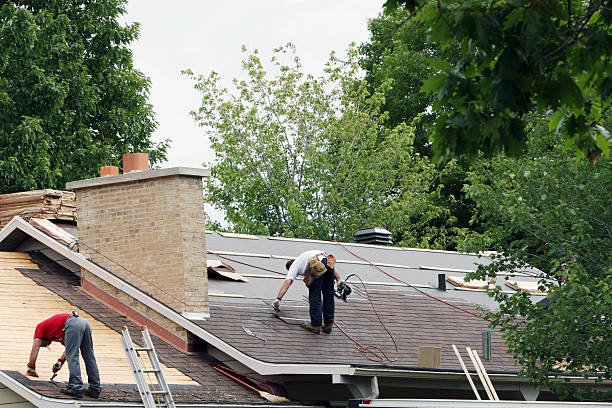 Best Local Roofing Companies  in North Pole, AK