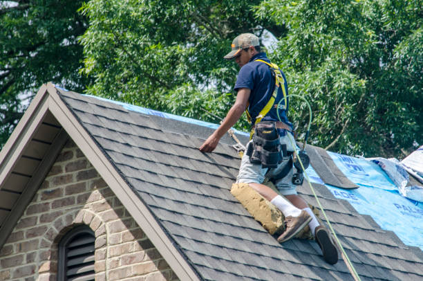 Best Shingle Roofing Installation  in North Pole, AK